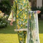 Lawn Dresses 3 piece Suit Bana Dora Fabrics